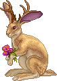 unnamed Rabbit
