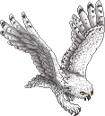 unnamed Hedwig