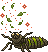 Tiny May Bug