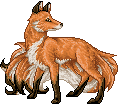 unnamed Aodhfinn foxes
