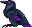 Zen Raven