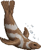 unnamed Selkie