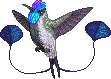Sword Kolibri