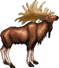 Olaf the XMAS Elk
