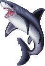 unnamed jawsome shark