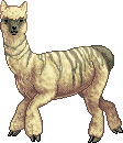 Llama