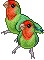 Sprout and Tulip the Lovebirds