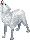 unnamed Wolkenwolf