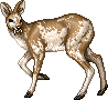 Instability Inflation Deer