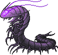 Purple centipede